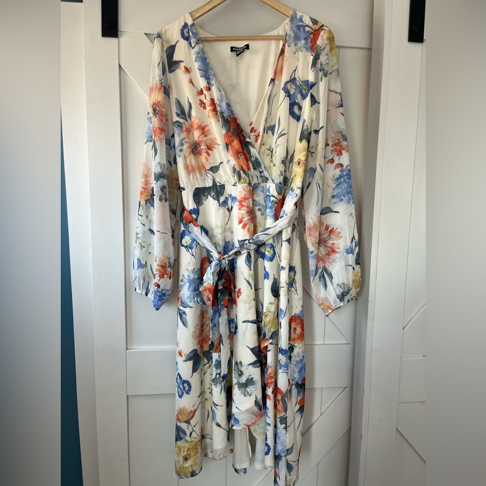 Beautiful Floral Chiffon Dress from Express - XL